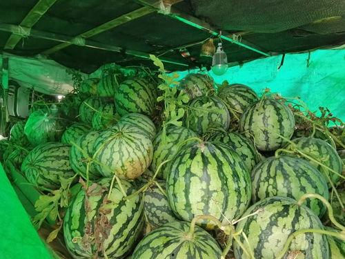 吃瓜合集免费,揭秘娱乐圈幕后故事,免费畅享娱乐盛宴 第3张 吃瓜合集免费,揭秘娱乐圈幕后故事,免费畅享娱乐盛宴 第3张